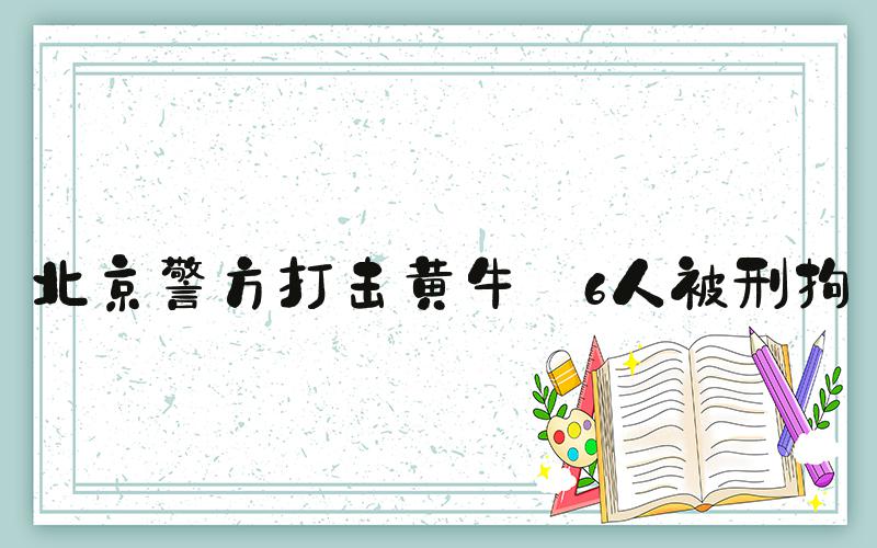 北京警方打击黄牛 6人被刑拘